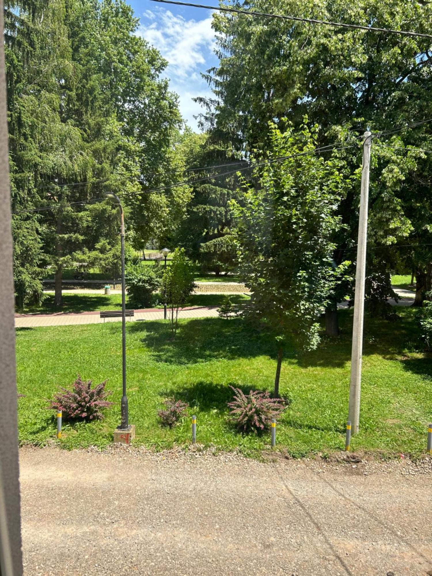 Vila Markovic-A Sokobanja Exterior foto